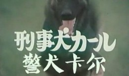 警犬卡尔在线观看,忠诚守护，智慧追踪